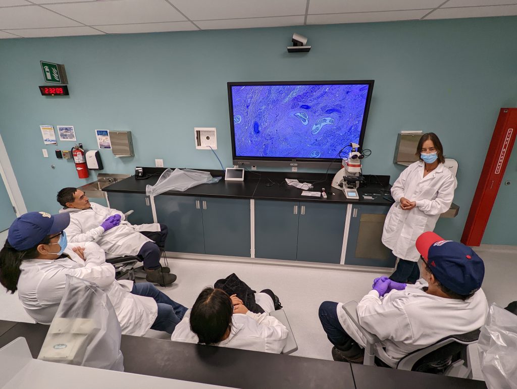 Scientitsts sitting around a screen with an image inside a small meeting room