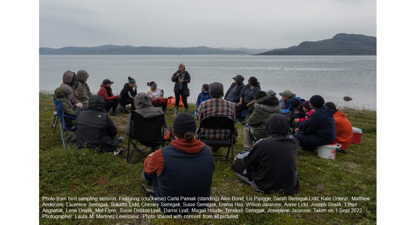 NGPlastics - community based monitoring, plastics, Inuit foodways - CINUK